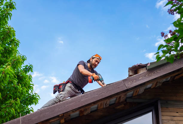 Best Skylight Installation and Repair  in Gower, MO